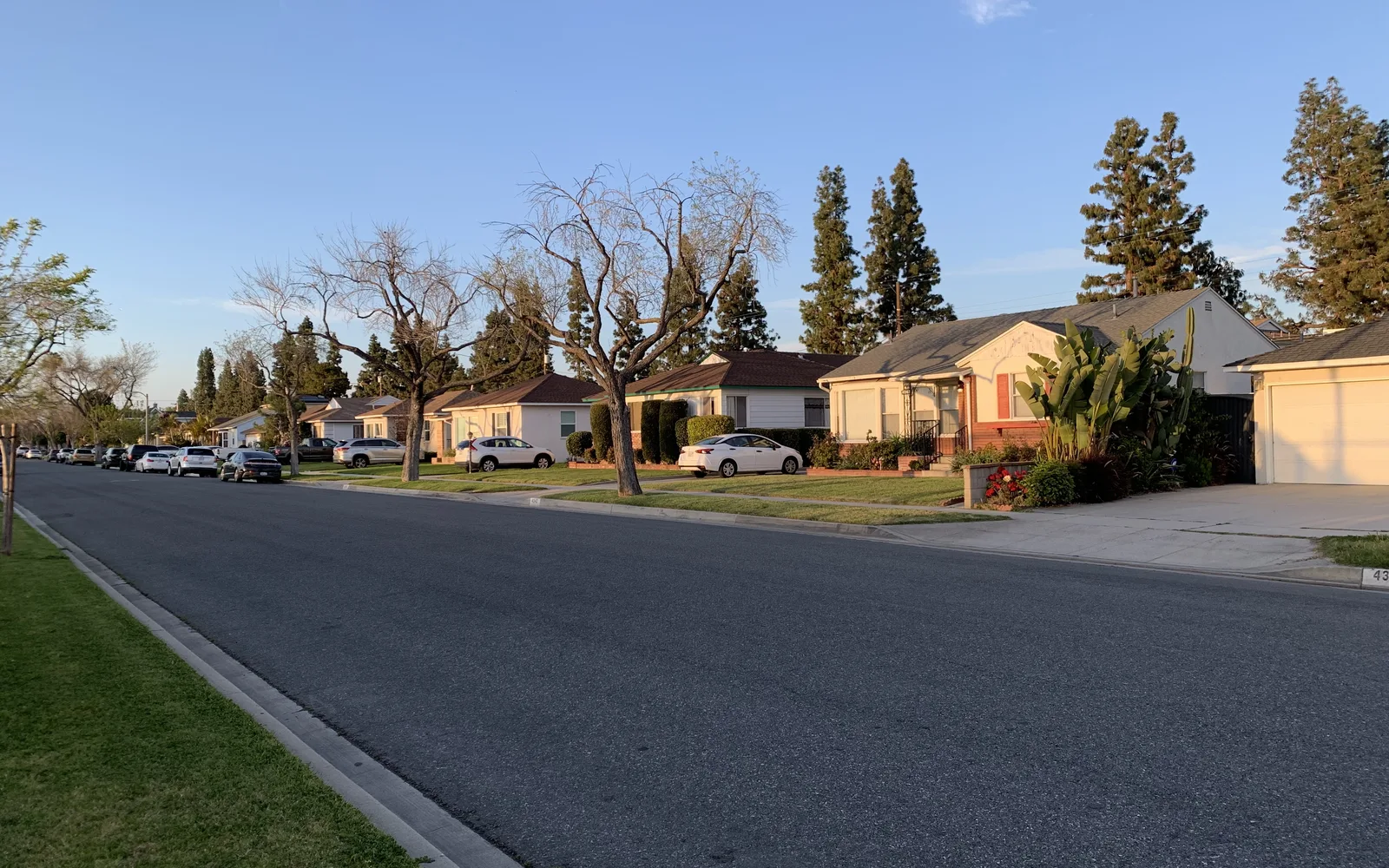 A middle-class residential street in Lakewood, California with houses and mature trees